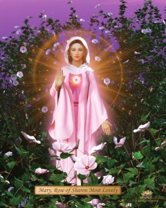 Mary, Rose of Sharon Most Lovely 8x10